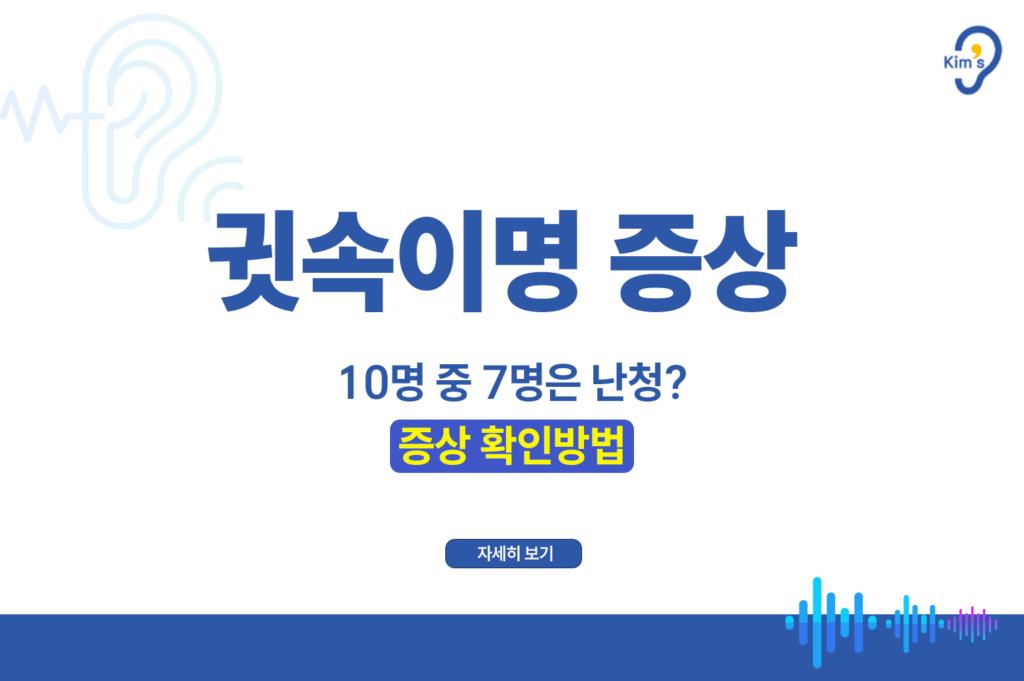 귓속이명증상